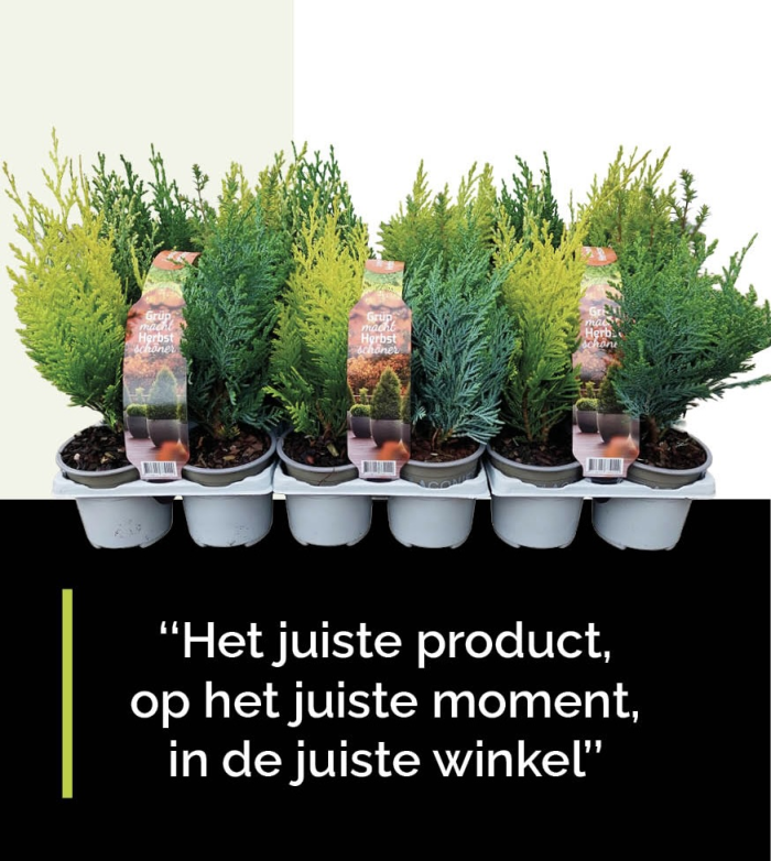 Groene groei over de grens